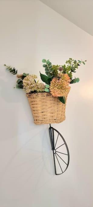 Le Boheme - Hypercentre - Wifi Apartment ตูลูส ภายนอก รูปภาพ